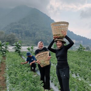 Healing ke Gunung Andong: Pengalaman Mindfulness Trip Bersama Arutala Boemi Lestari