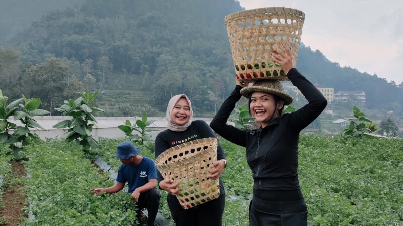 Healing ke Gunung Andong: Pengalaman Mindfulness Trip Bersama Arutala Boemi Lestari