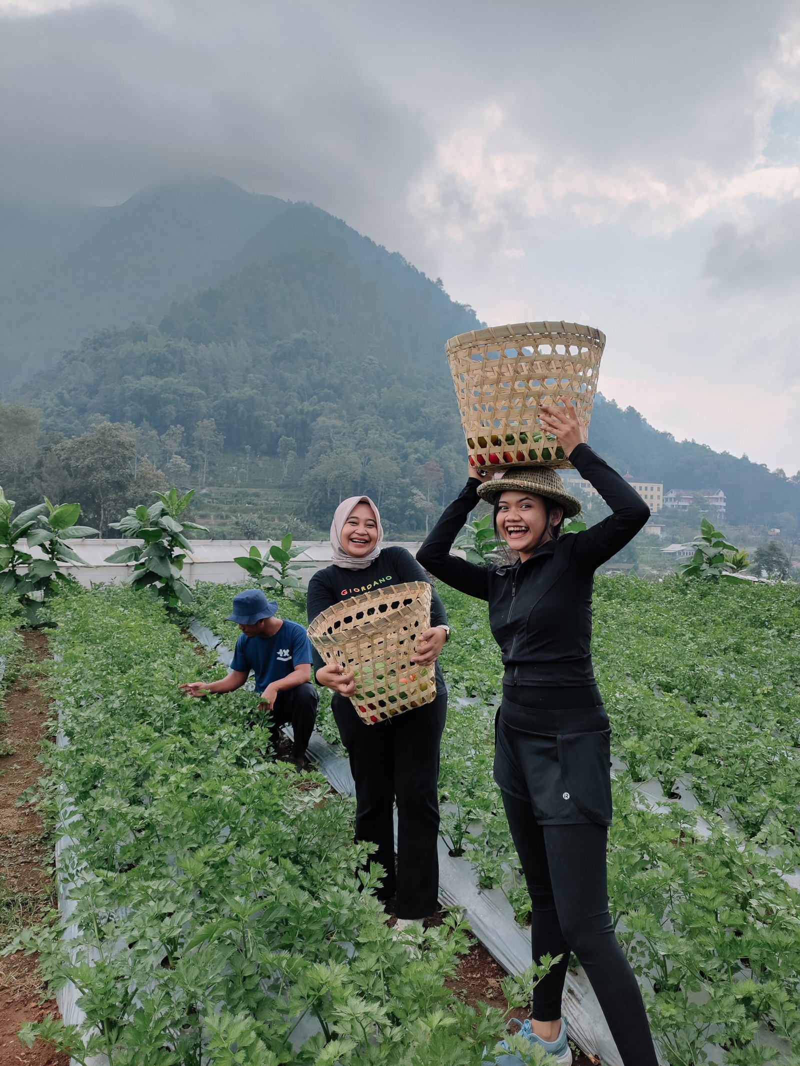 Healing ke Gunung Andong: Pengalaman Mindfulness Trip Bersama Arutala Boemi Lestari